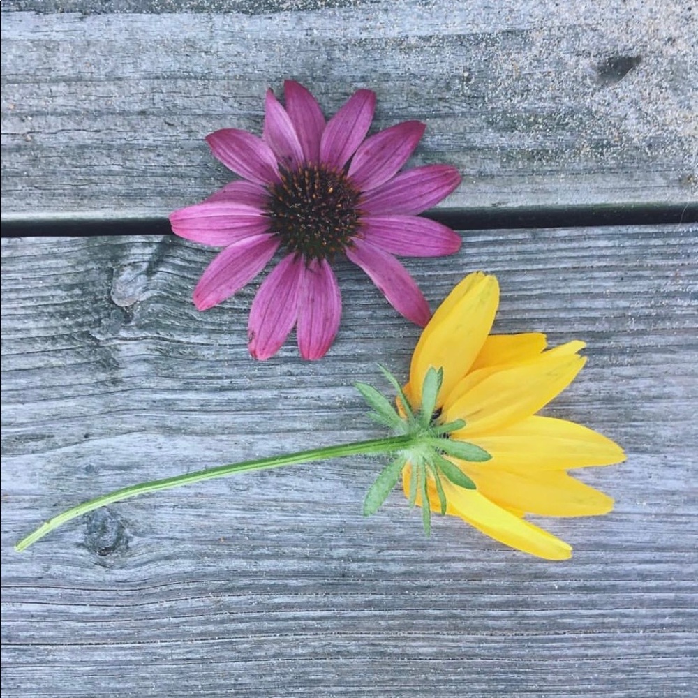 Meet the Posher, Brooklyn - Picture 16 of 16